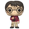 Купить Фигурка Funko POP! Harry Potter Anniversary Harry Potter w/The Stone  